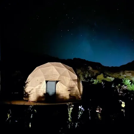 Ikigai Moonlight Garden Camping *
