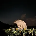 Ikigai Moonlight Garden *