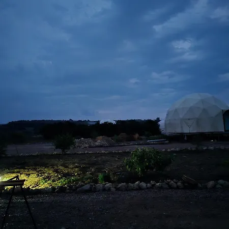 Ikigai Moonlight Garden