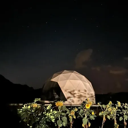 Ikigai Moonlight Garden *