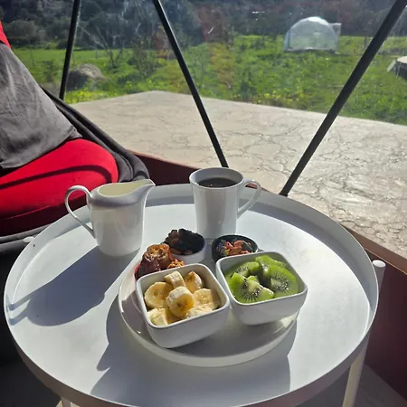 Ikigai Moonlight Garden Camping *