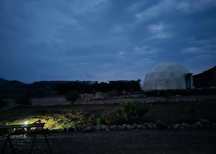 Ikigai Moonlight Garden