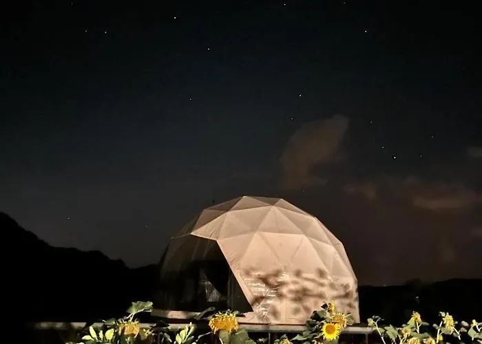 Ikigai Moonlight Garden *