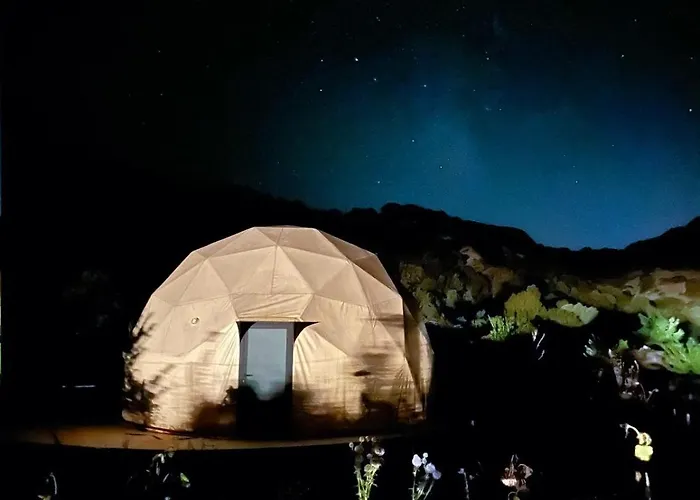 Ikigai Moonlight Garden Kemping *