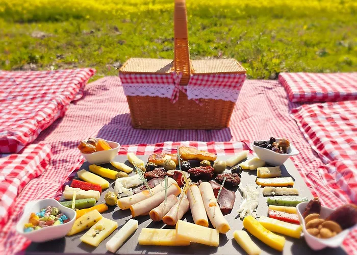 Ikigai Moonlight Garden Kemping