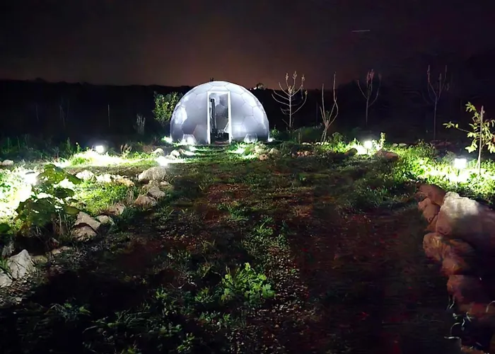 Ikigai Moonlight Garden Kemping