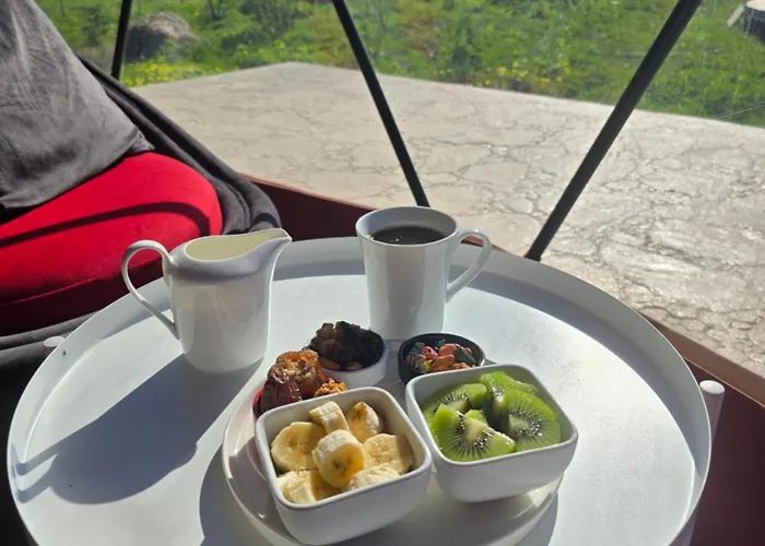 Ikigai Moonlight Garden Kemping *