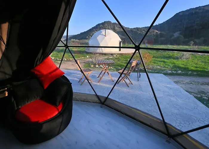 Ikigai Moonlight Garden